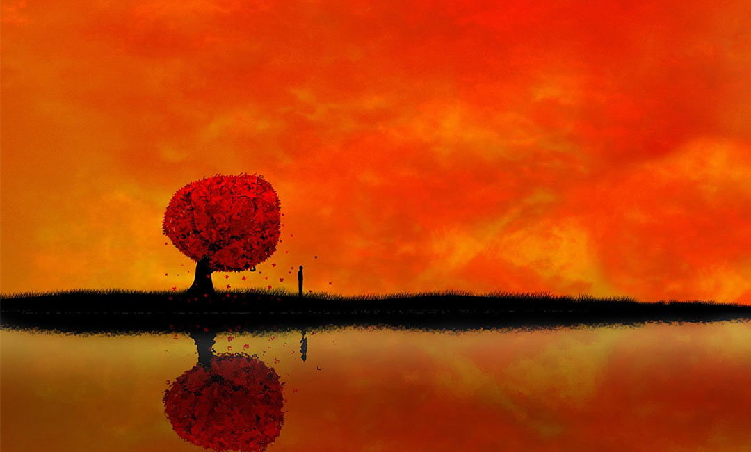 湖北笙影微信朋友圈转发案例